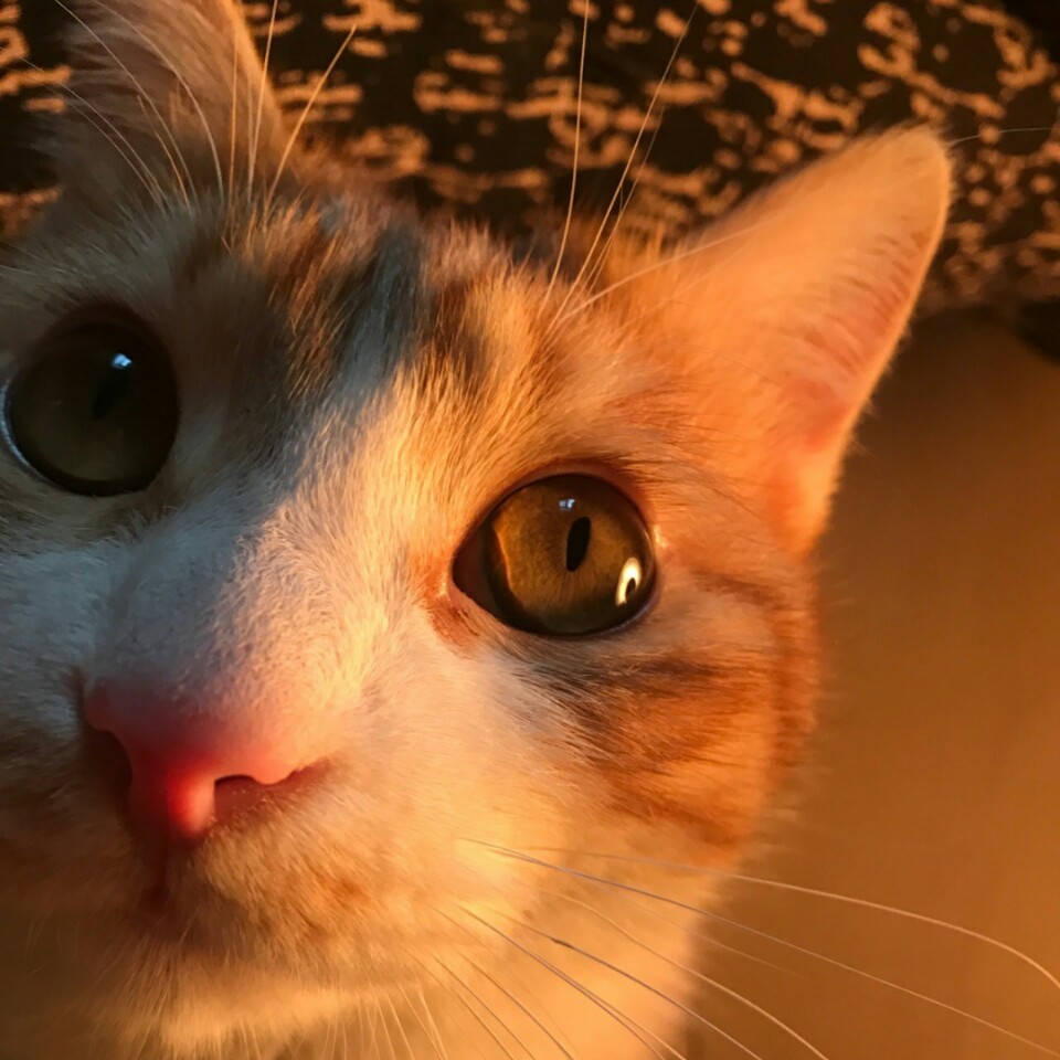 ĺW